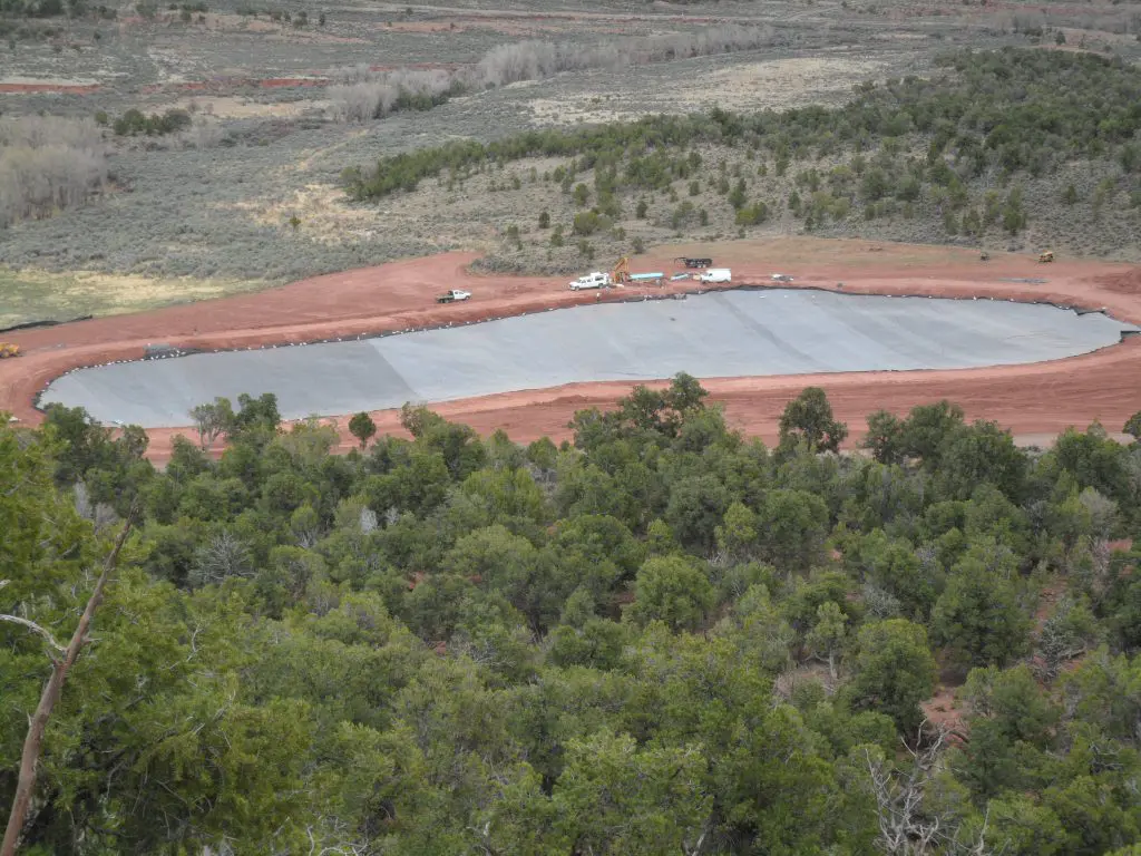 A large pond in the middle of a forest.