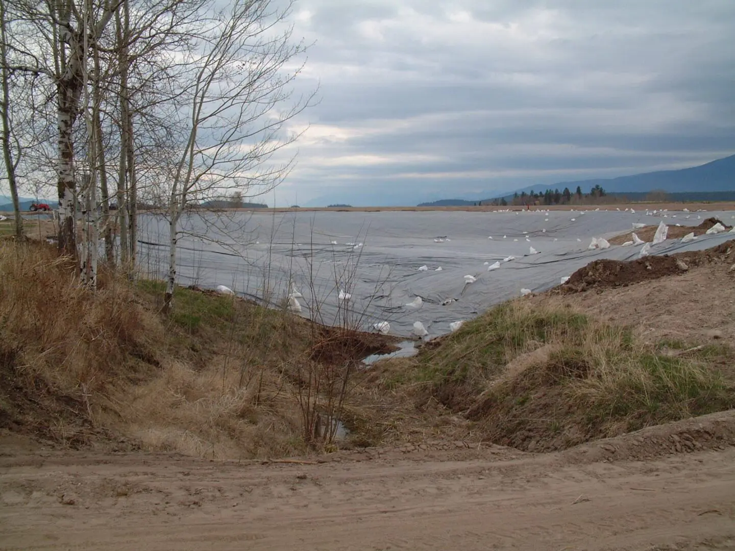 A view of the water from the beach.